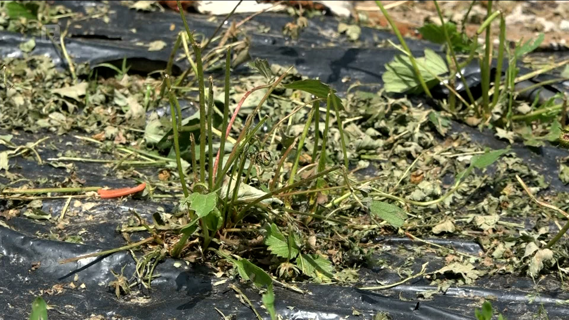 Krajnji rok za prijavu nastalih šteta u Busovači je 30. maj